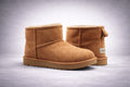 Ugs Supplier